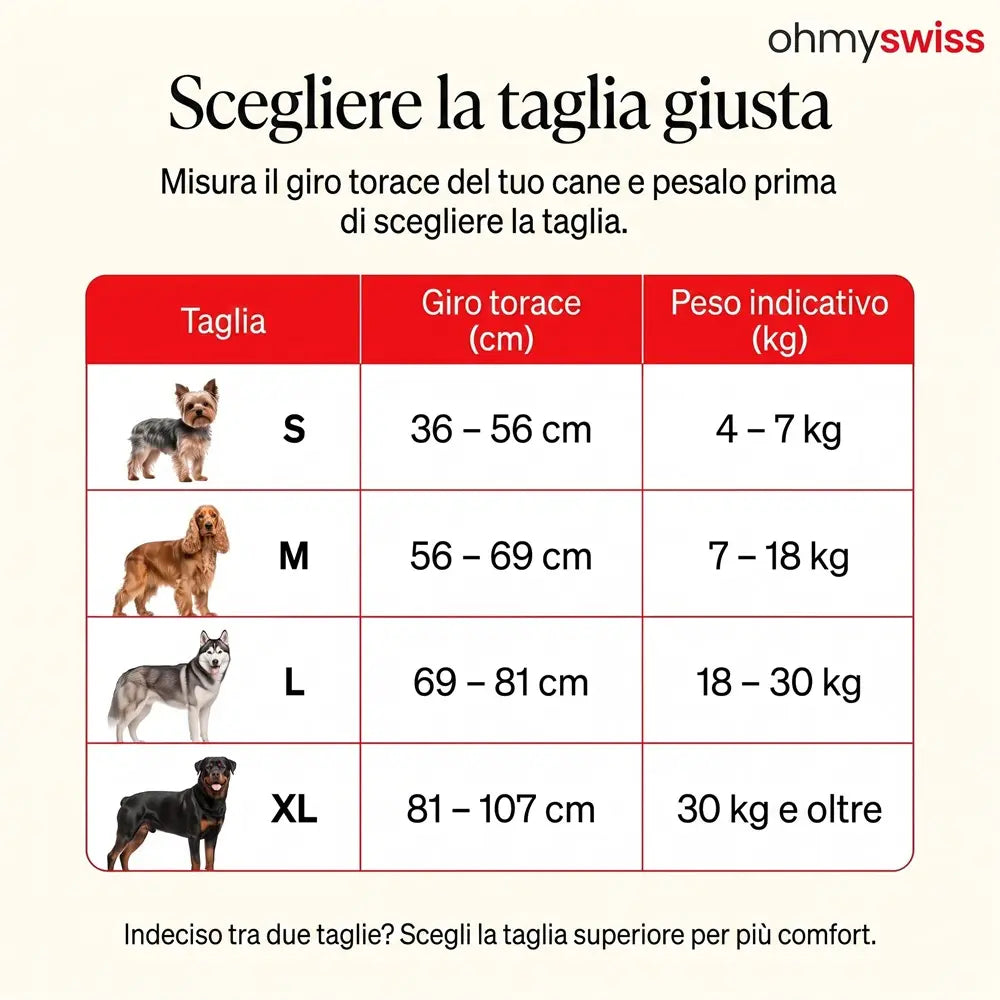Pettorina anti-tiro Ohmyswiss