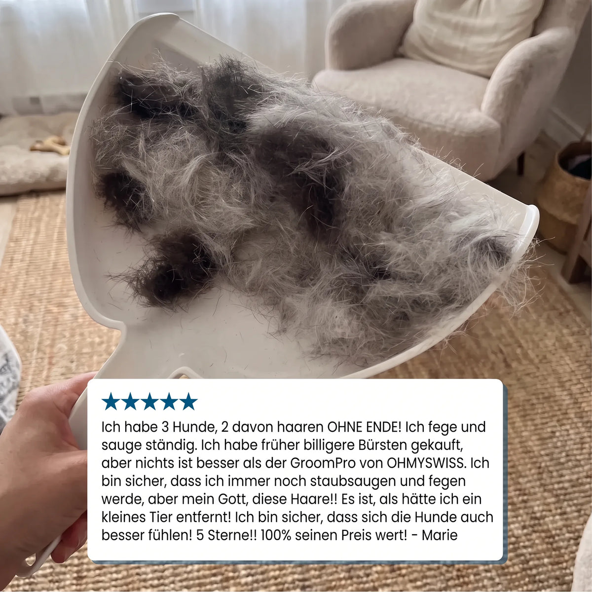 Anti-Haarverlust-Bürste Pro OHMYSWISS