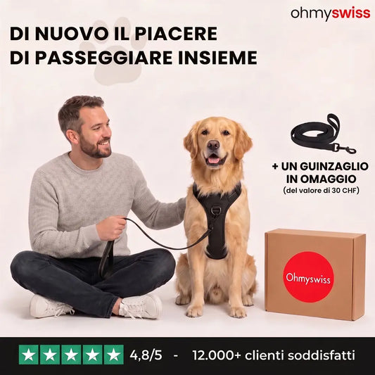 Pettorina anti-tiro Ohmyswiss