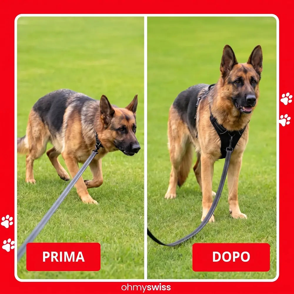 Pettorina anti-tiro Ohmyswiss