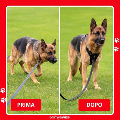 Pettorina anti-tiro Ohmyswiss