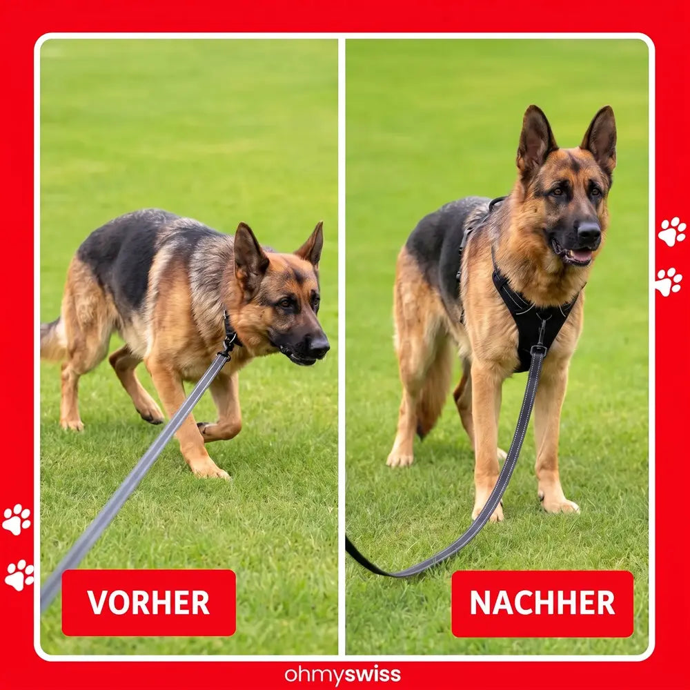 Ohmyswiss Anti-Zug-Hundegeschirr