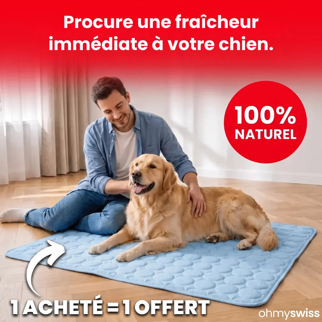 Tapis rafraîchissant pour chien (1+1)