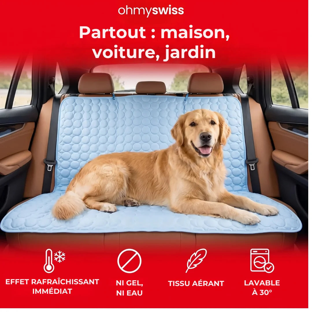 Tapis rafraîchissant pour chien (1+1)