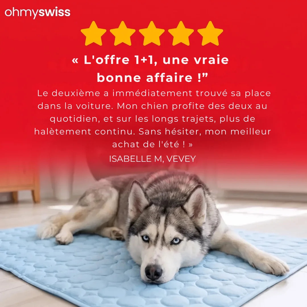 Tapis rafraîchissant pour chien (1+1)