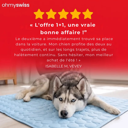 Tapis rafraîchissant pour chien (1+1)