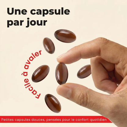 Cannella di Ceylon in capsule Ohmyswiss