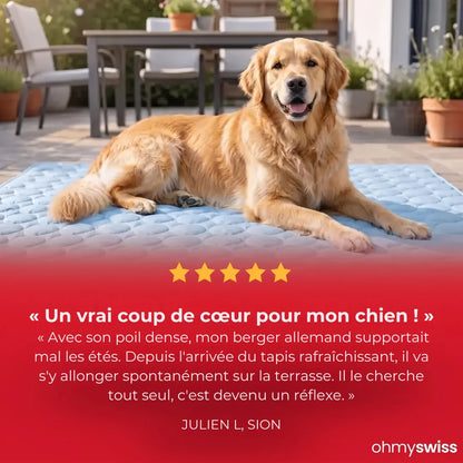 Tapis rafraîchissant pour chien (1+1)