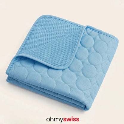 Tapis rafraîchissant pour chien (1+1)