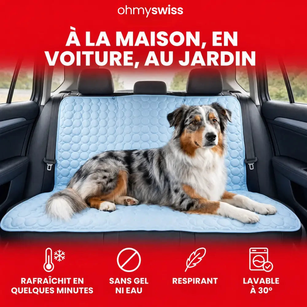 Tapis rafraîchissant pour chien (1+1)