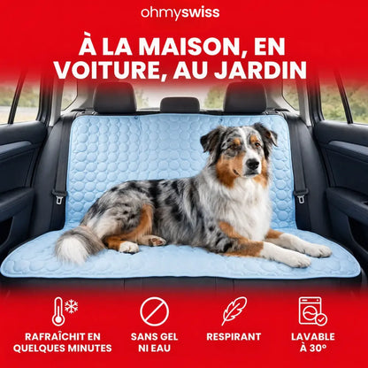 Tapis rafraîchissant pour chien (1+1)