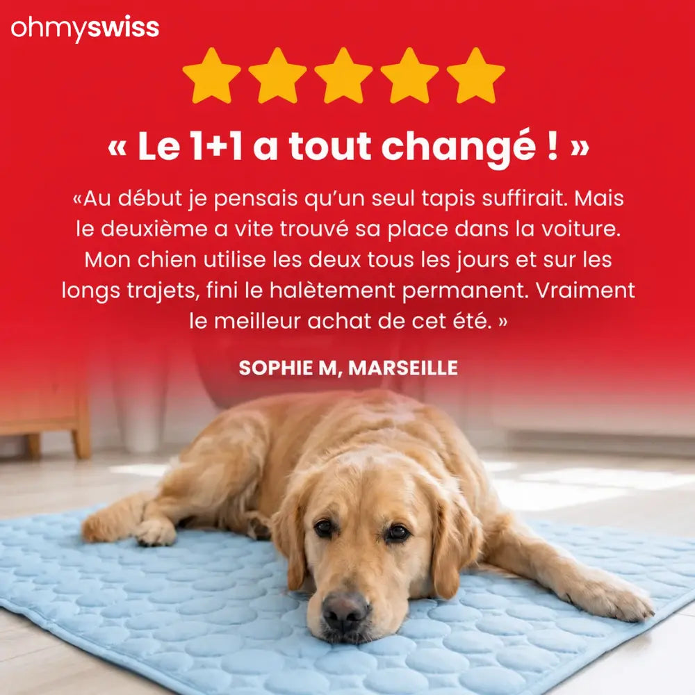 Tapis rafraîchissant pour chien (1+1)