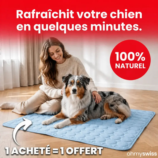 Kühlmatte für Hunde (1+1)