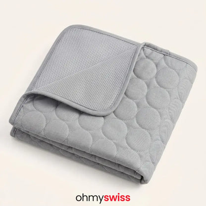 Tapis rafraîchissant pour chien (1+1)