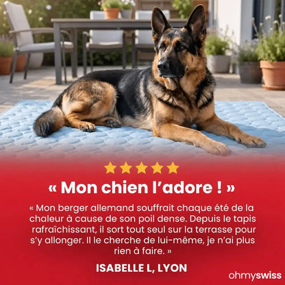 Tapis rafraîchissant pour chien (1+1)