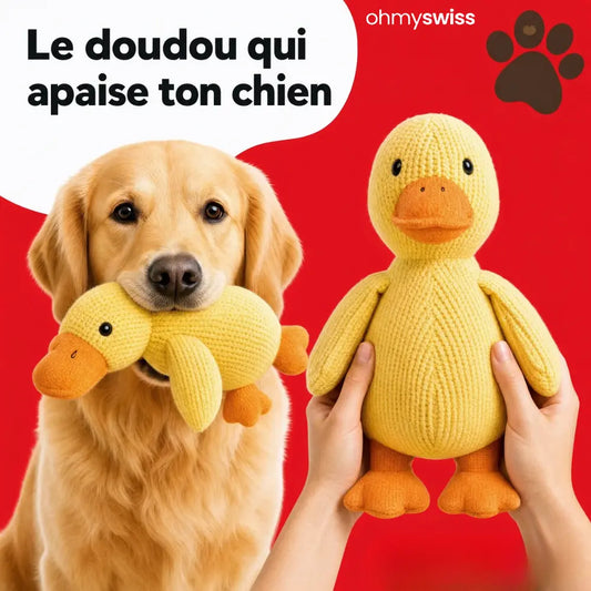 Anti-Stress-Ente