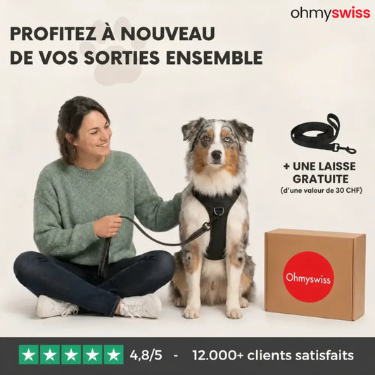 Ohmyswiss-Zugschutzgeschirr