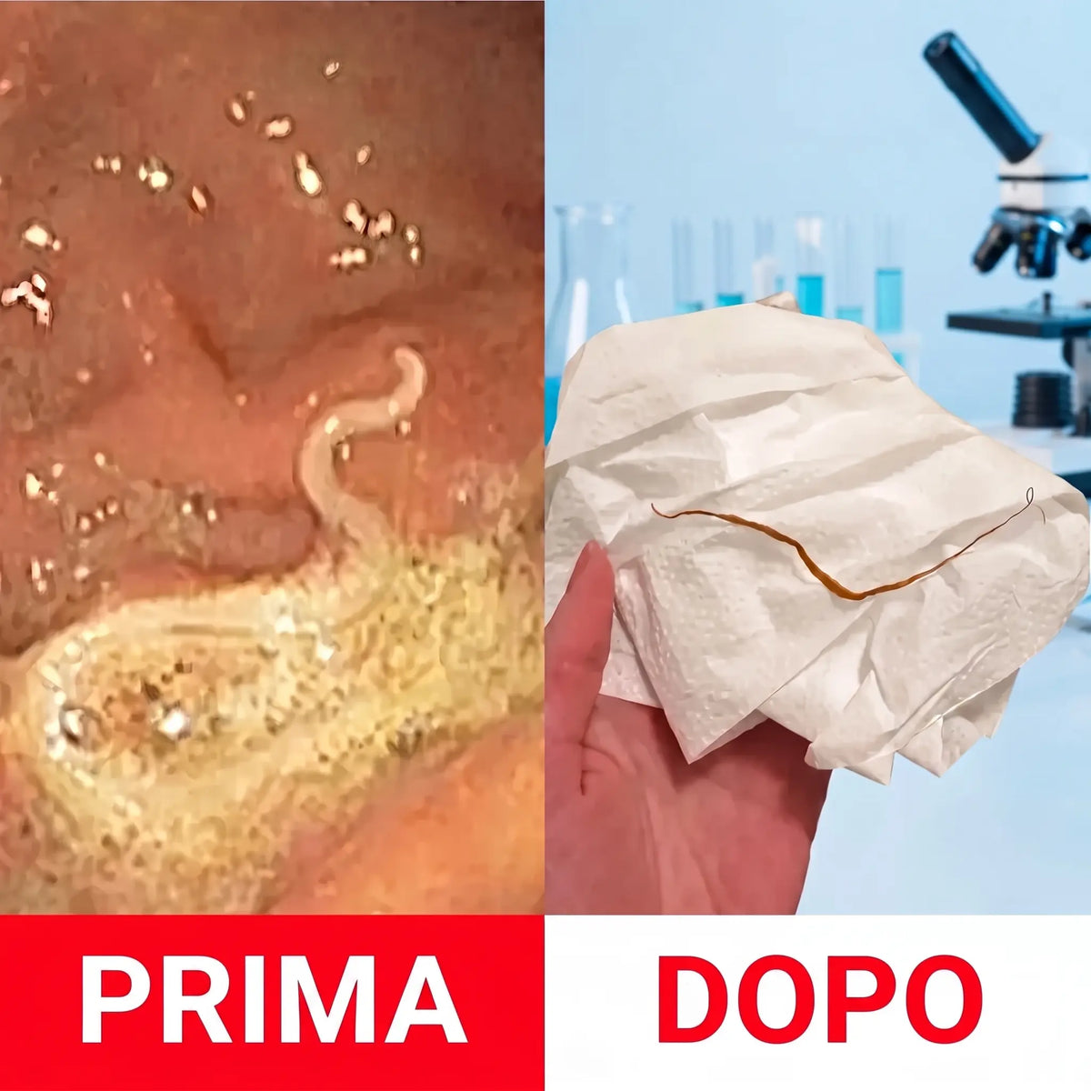 Kit detox con olio di ricino