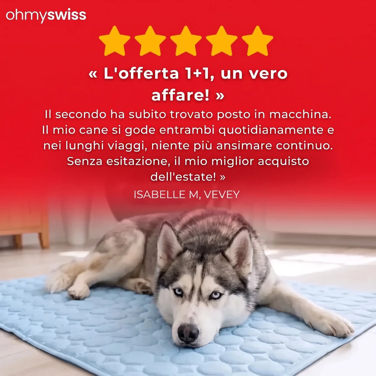 Tappetino rinfrescante per cani (1+1)