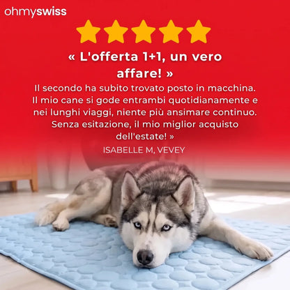 Tappetino rinfrescante per cani (1+1)