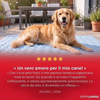 Tappetino rinfrescante per cani (1+1)