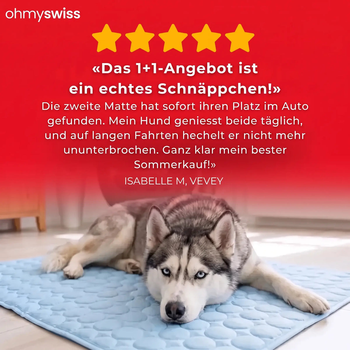 Kühlmatte für Hunde (1+1)