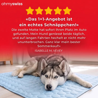 Kühlmatte für Hunde (1+1)