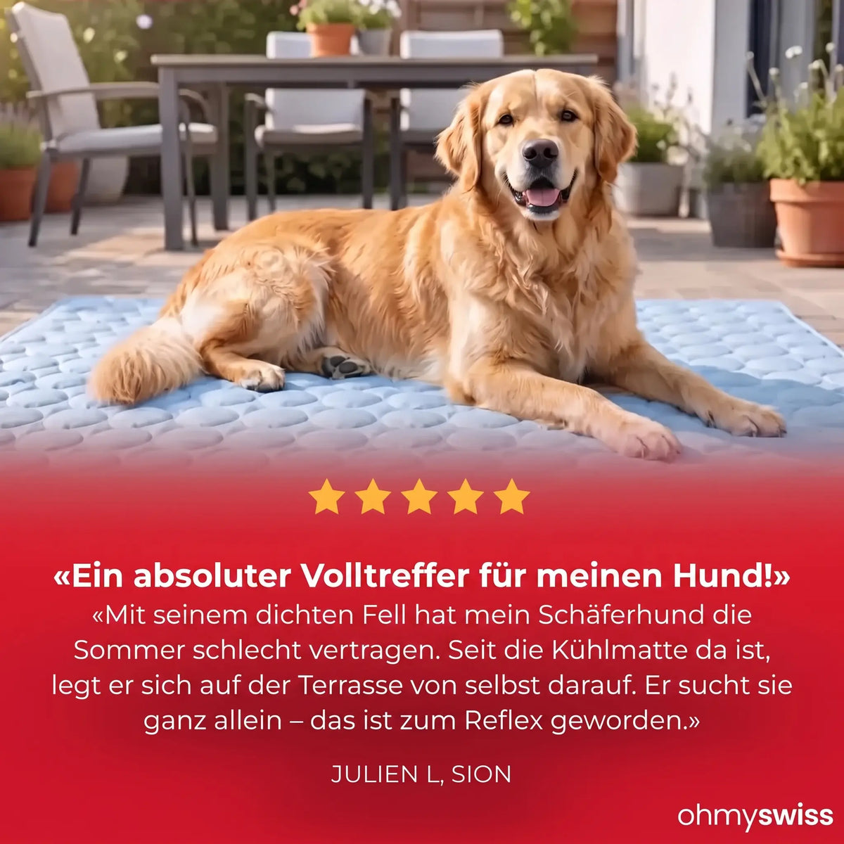 Kühlmatte für Hunde (1+1)