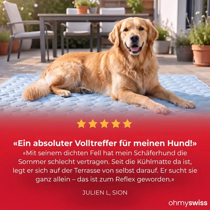 Kühlmatte für Hunde (1+1)