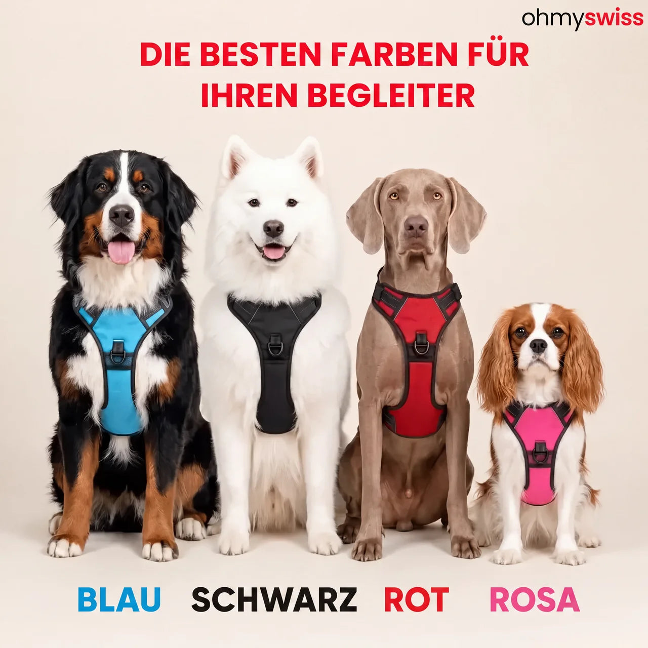 Ohmyswiss Anti-Zug-Hundegeschirr