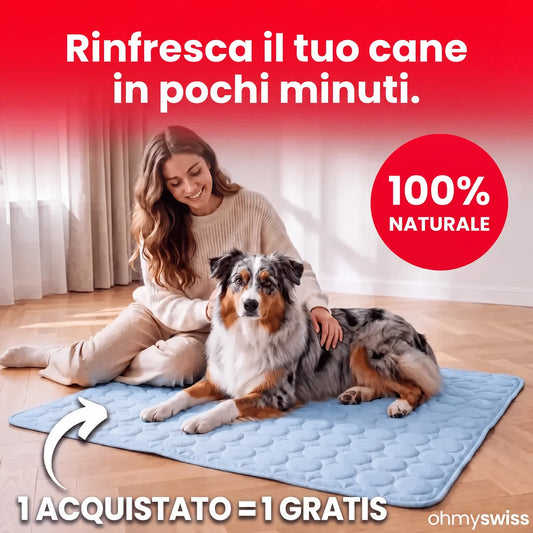 Kühlmatte für Hunde (1+1)