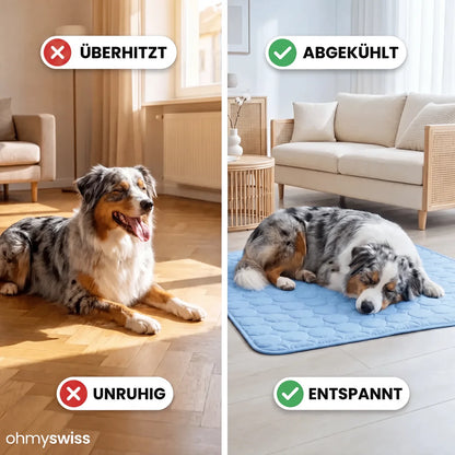 Kühlmatte für Hunde (1+1)