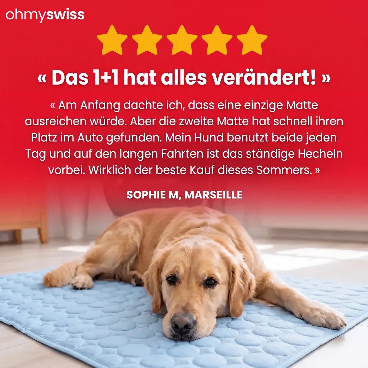 Kühlmatte für Hunde (1+1)