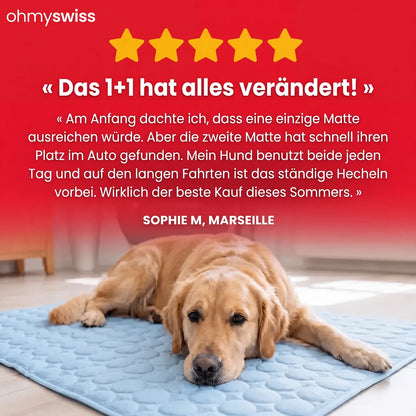 Kühlmatte für Hunde (1+1)