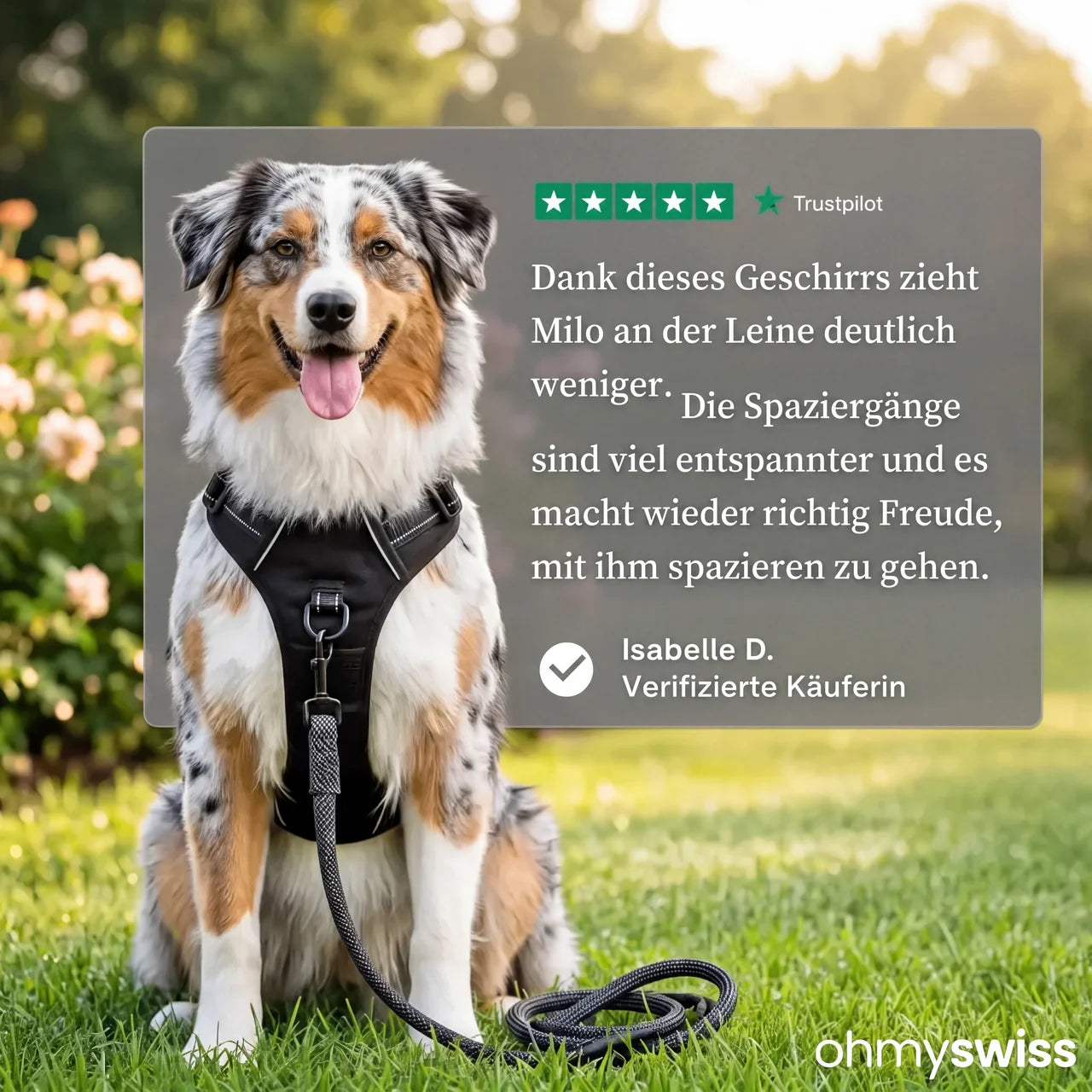 Ohmyswiss Anti-Zug-Hundegeschirr