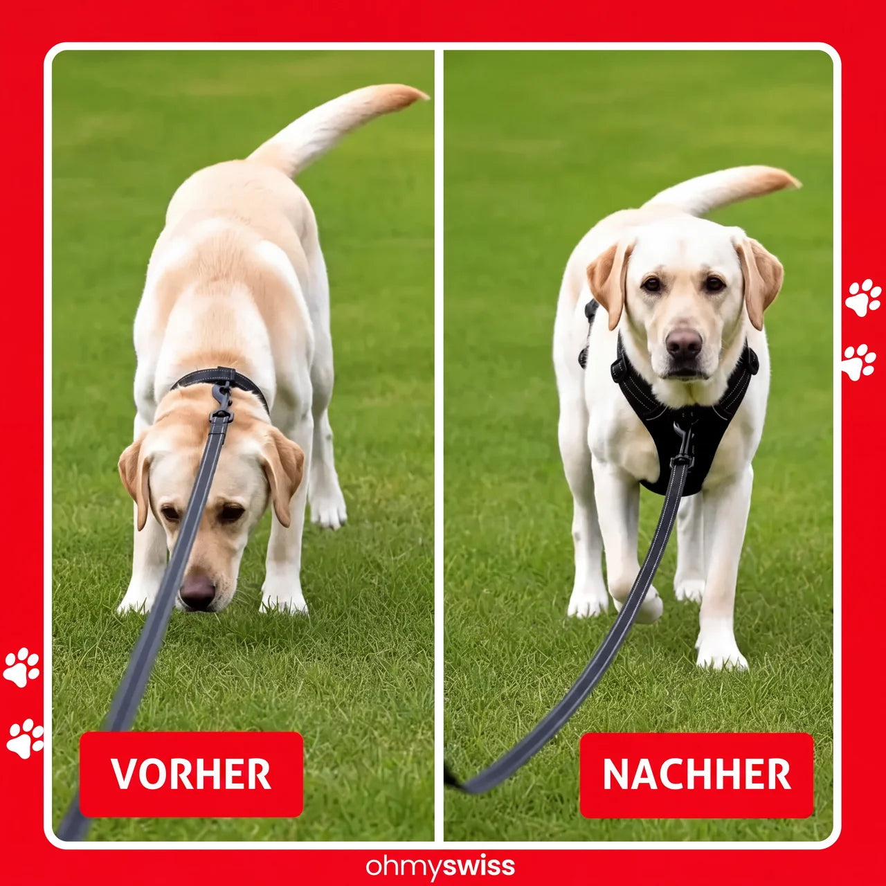 Ohmyswiss Anti-Zug-Hundegeschirr