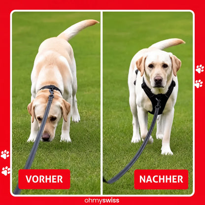 Ohmyswiss Anti-Zug-Hundegeschirr