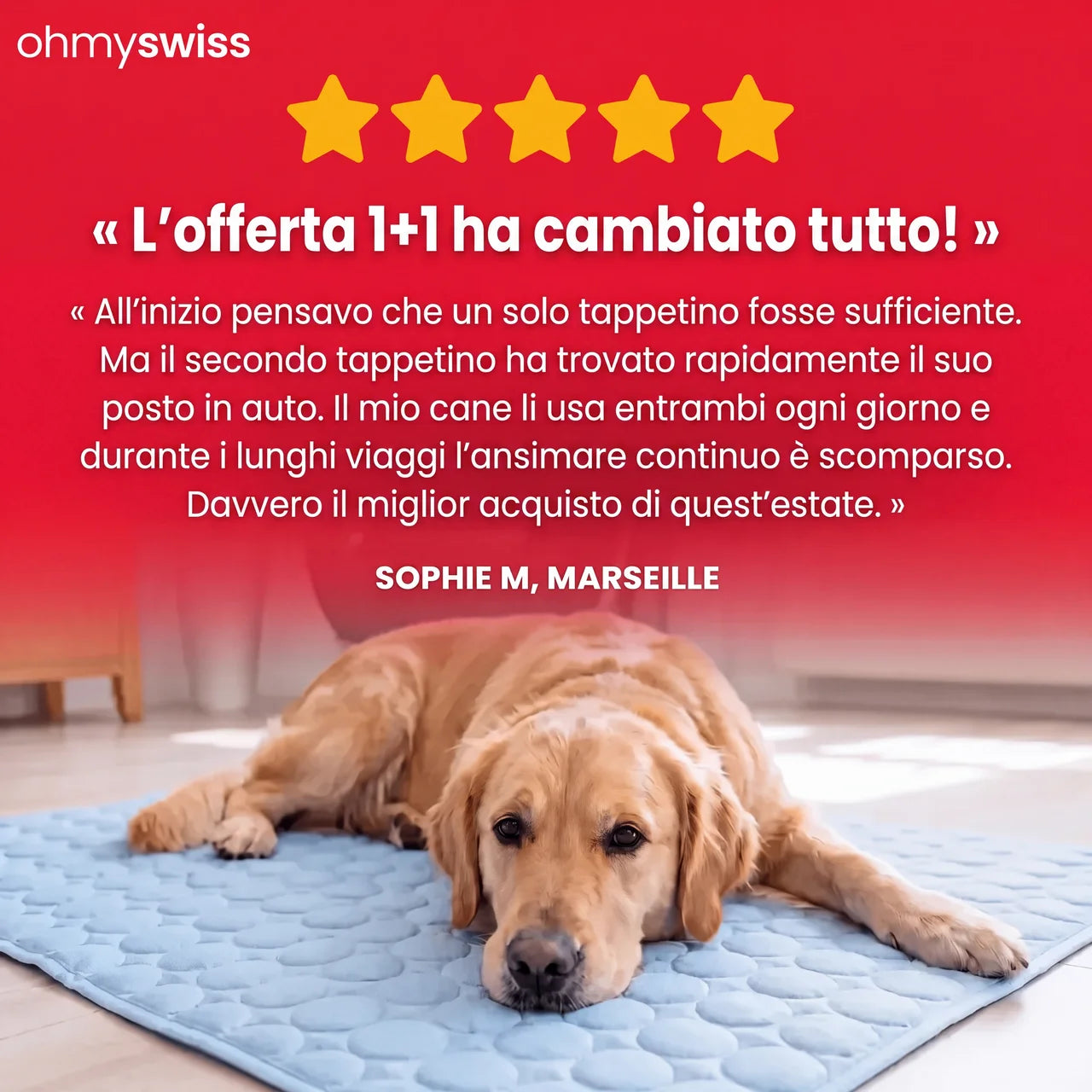 Kühlmatte für Hunde (1+1)