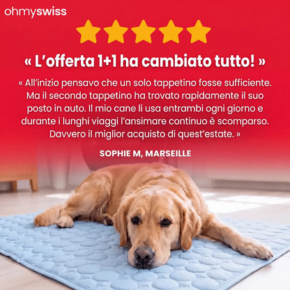 Kühlmatte für Hunde (1+1)