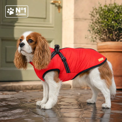 Wasserdichter 3-in-1-Hundemantel mit integriertem Geschirr von OHMYSWISS
