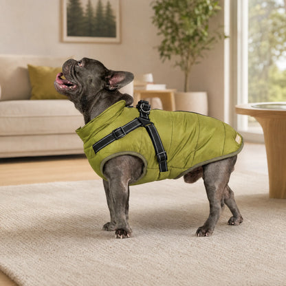 Wasserdichter 3-in-1-Hundemantel mit integriertem Geschirr von OHMYSWISS