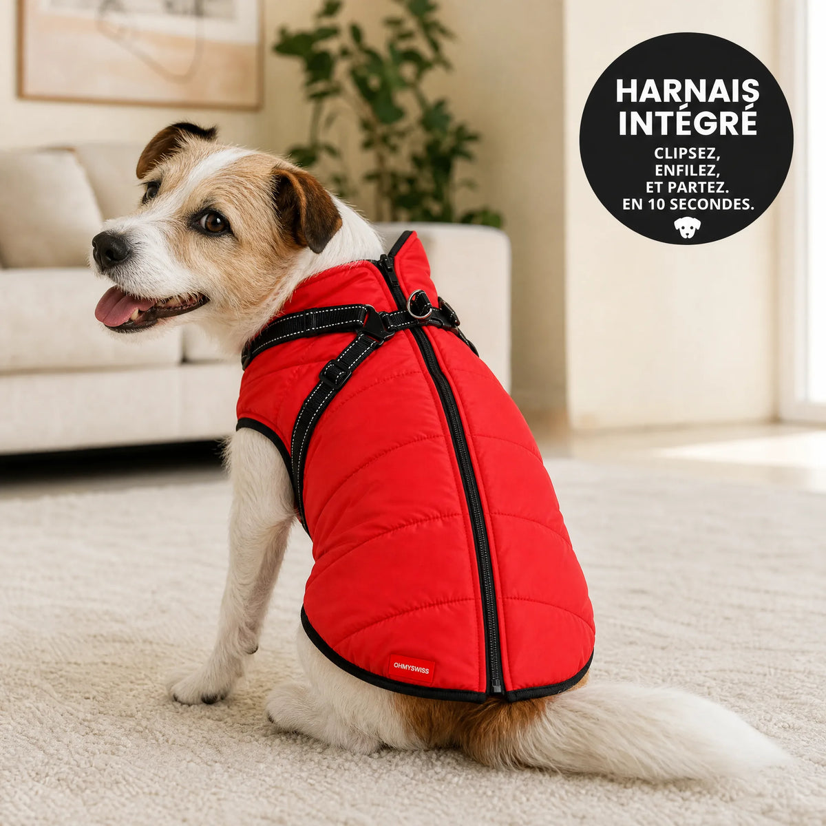 Wasserdichter 3-in-1-Hundemantel mit integriertem Geschirr von OHMYSWISS