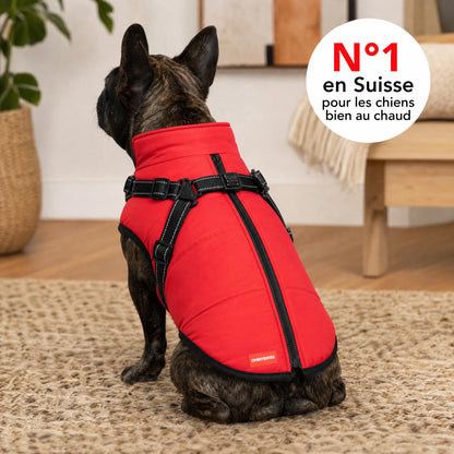 Wasserdichter 3-in-1-Hundemantel mit integriertem Geschirr von OHMYSWISS