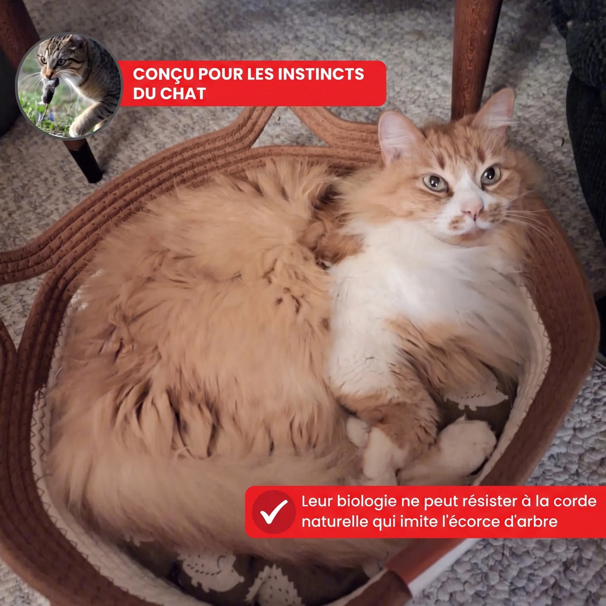 OHMYSWISS „Instinct“-Korb aus geflochtenem Seil für Katzen