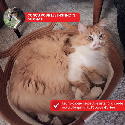 OHMYSWISS „Instinct“-Korb aus geflochtenem Seil für Katzen