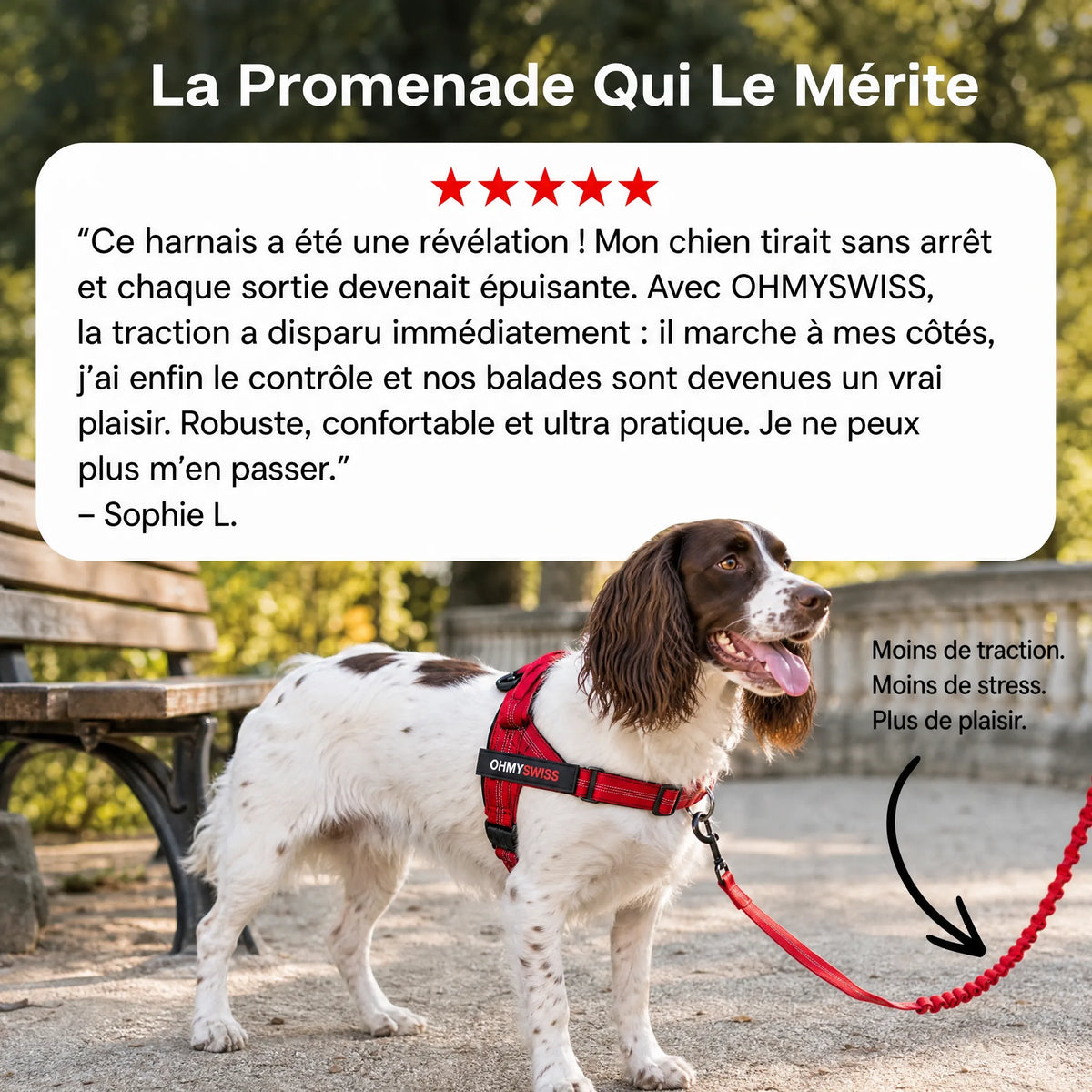 Imbracatura anti-trazione Comfort+ OHMYSWISS