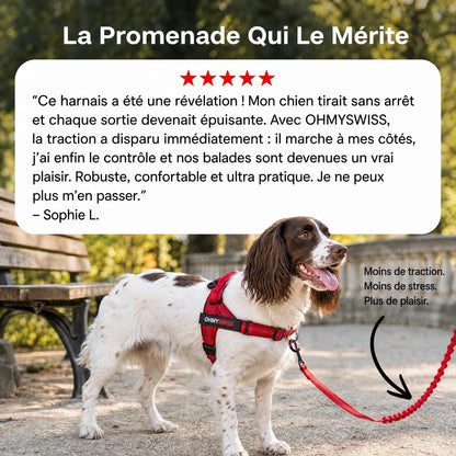 Imbracatura anti-trazione Comfort+ OHMYSWISS