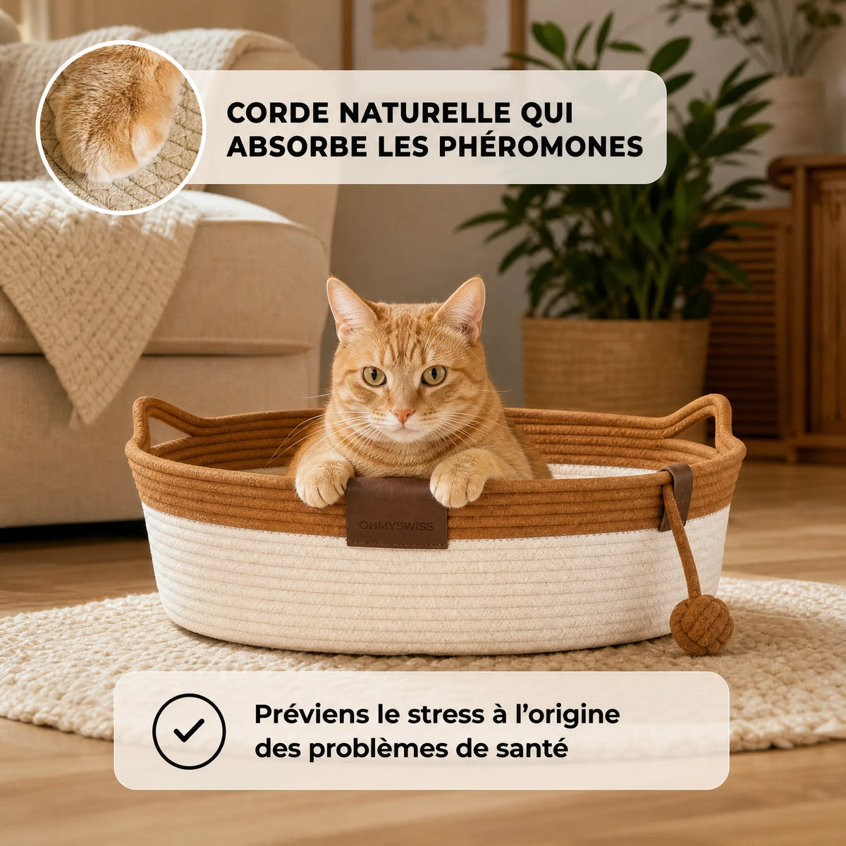 Nidora – Das handgeflochtene Nest, das Ihre Katze beruhigt OHMYSWISS