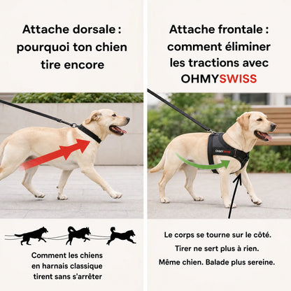 Imbracatura anti-trazione Comfort+ OHMYSWISS