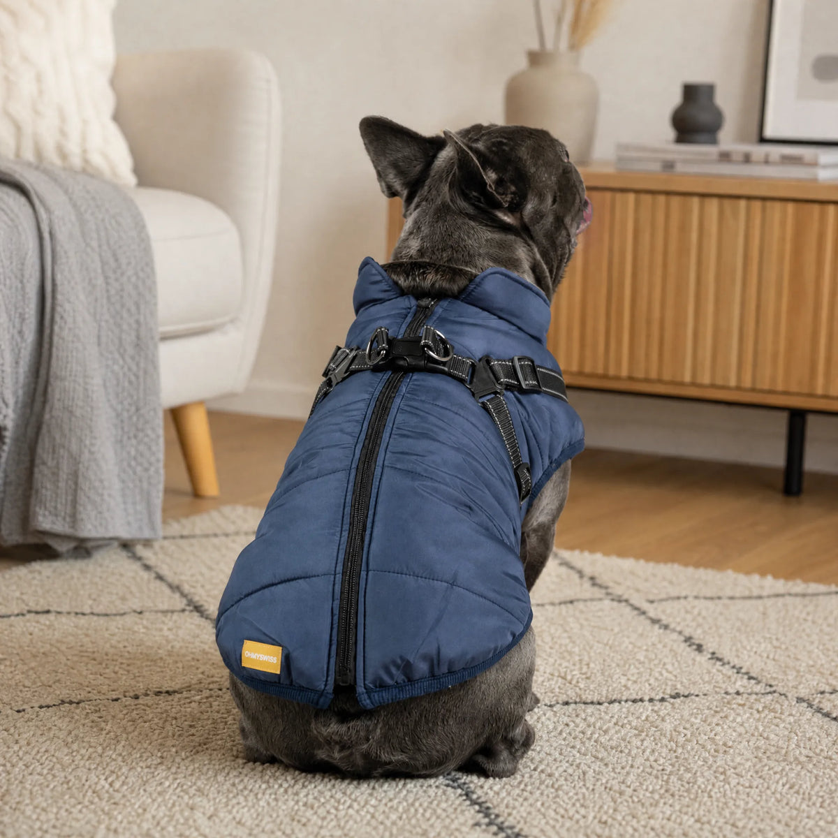 Wasserdichter 3-in-1-Hundemantel mit integriertem Geschirr von OHMYSWISS